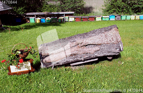 Image of Beekeeping heritage - ancient horinontal hive 