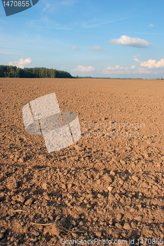 Image of Arable land area 