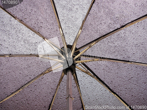Image of  inside of umbrella