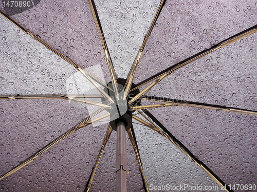 Image of  inside of umbrella