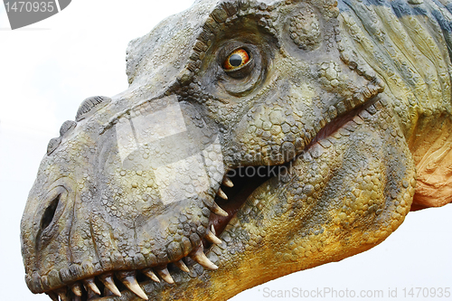 Image of Dinosaur Tyrannosaurus rex on white