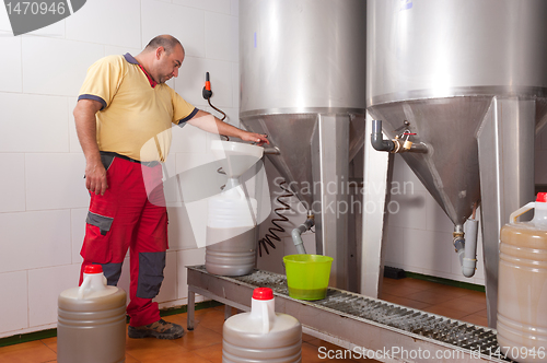 Image of Collecting olive oil