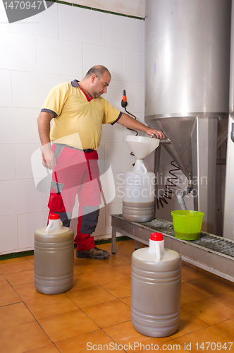 Image of Collecting olive oil