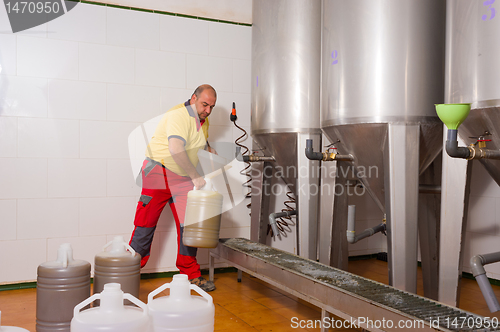 Image of Collecting olive oil