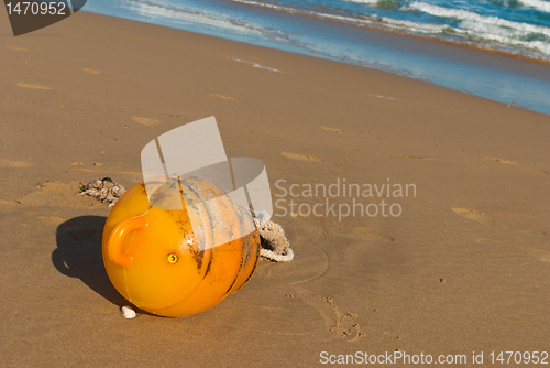 Image of Flotsam