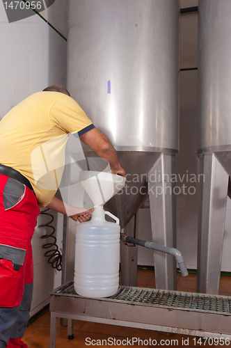 Image of Collecting olive oil