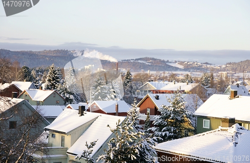 Image of Winter roofs