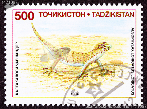 Image of Canceled Tajikistan Postage Stamp Even-fingered Gecko, Lizard, A