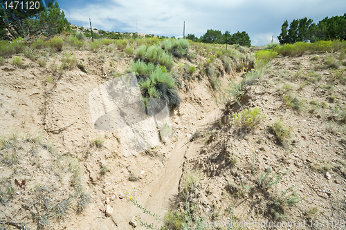 Image of Desert Wash Arroyo Showing Erosion New Mexico
