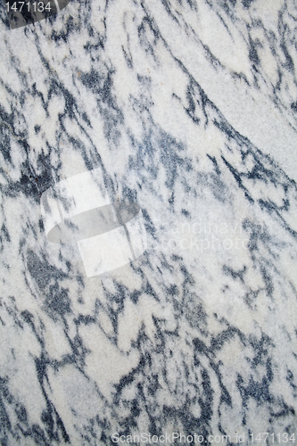 Image of XXXL Full Frame Black and White Marble Wall 