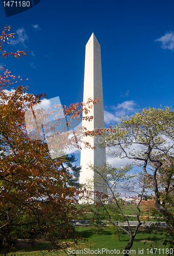 Image of Washington Monument Autumn Framed Leaves Blue Sky