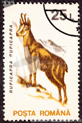 Image of Romanian Postage Stamp Goat, Antelope Chamois, Rupicapra Rupicap