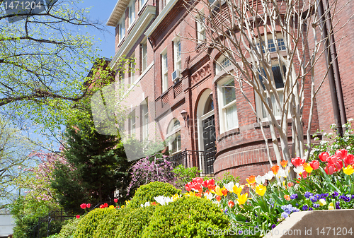 Image of Spring Flowers Richardsonian Romanesque Row Houses