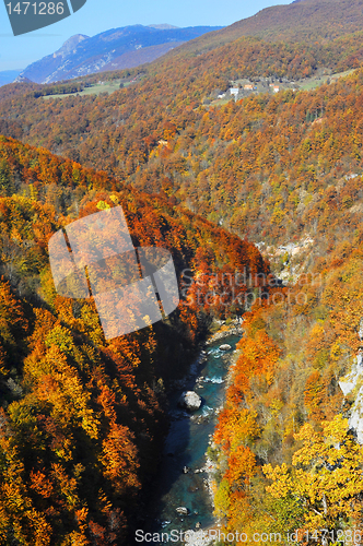 Image of Tara River Gorge