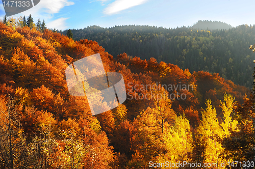 Image of Beautiful autumn mountains