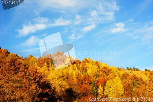 Image of Beautiful autumn mountains