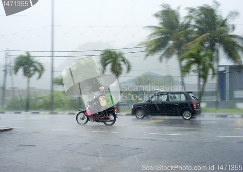 Image of Rainfall