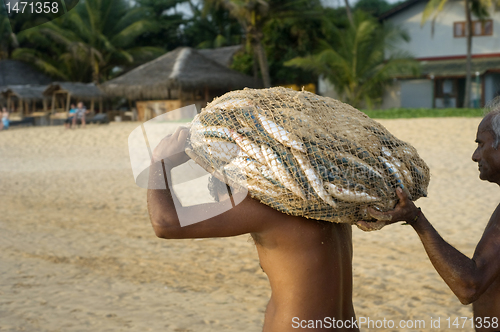 Image of Sri Lankan fishermen