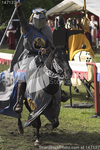 Image of A winning knight