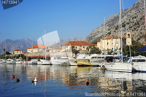 Image of Kotor