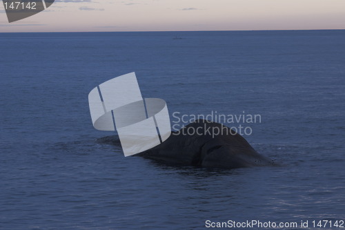 Image of Blue sea