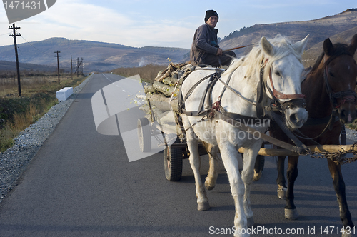 Image of Horse cart