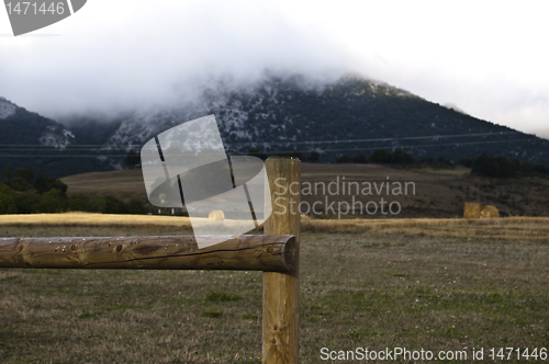 Image of Landscape Europe