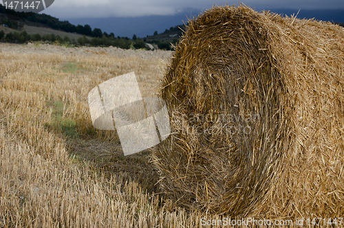 Image of Hay Bale  