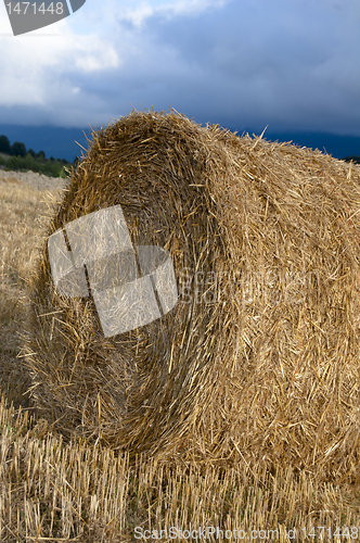 Image of Hay Bale  