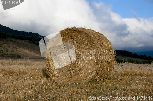 Image of Hay Bale  