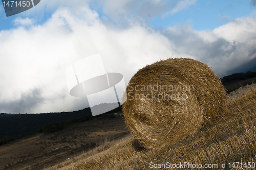 Image of Hay Bale  