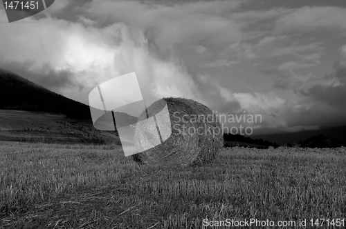 Image of Hay Bale  