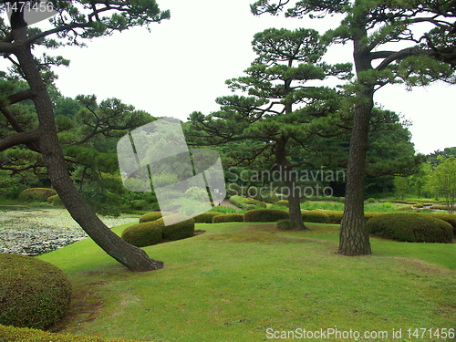 Image of Tokyo garden