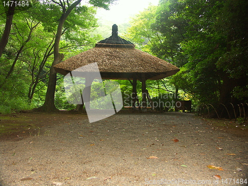 Image of Tokyo garden