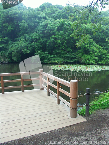 Image of Tokyo garden