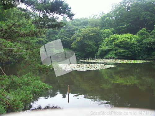 Image of Tokyo garden
