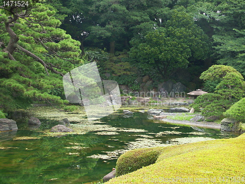 Image of Tokyo garden