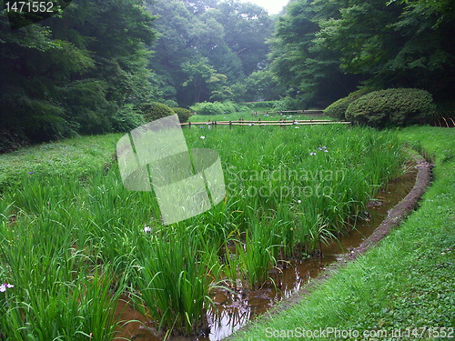 Image of Tokyo garden