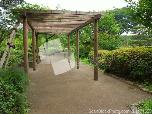Image of Tokyo garden