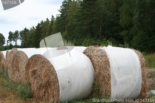 Image of Feed for cows and horses