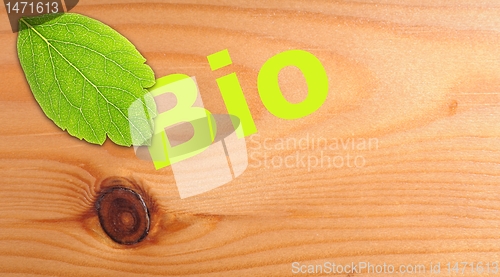 Image of bio