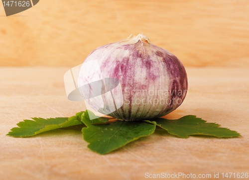 Image of garlic