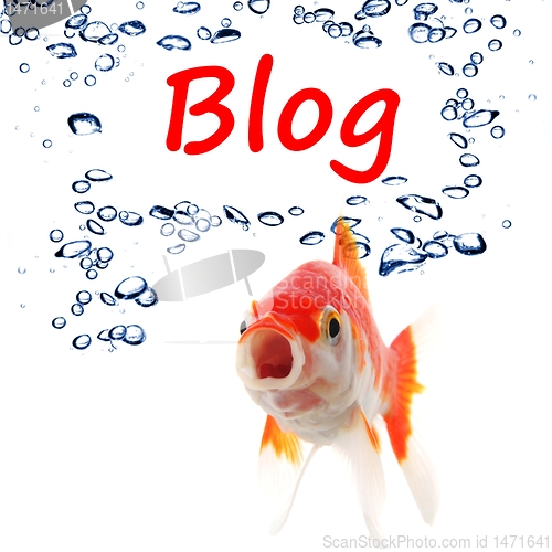 Image of blog