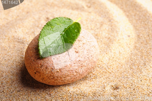 Image of zen stone and leaf