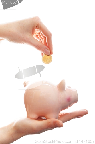 Image of piggy bank