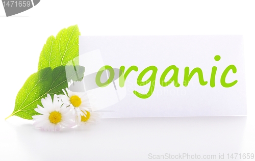 Image of organic
