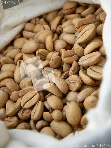 Image of Coffee beans