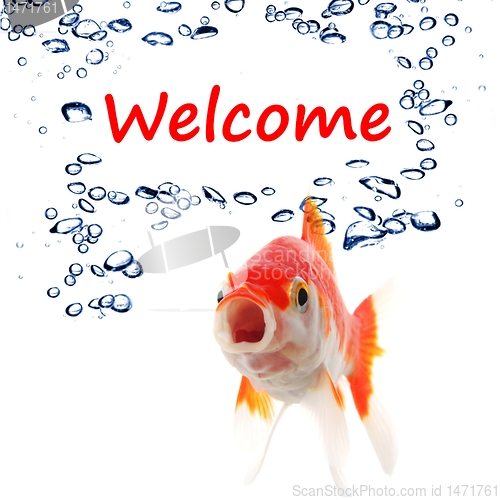 Image of welcome