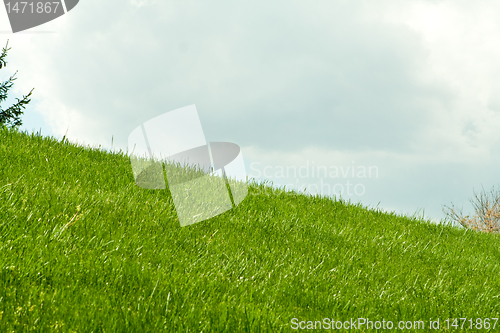 Image of Green Grassy Hill, Clouds in Background