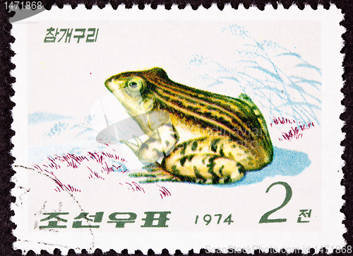Image of Canceled North Korean Postage Stamp Black Spotted Frog Pelophyla